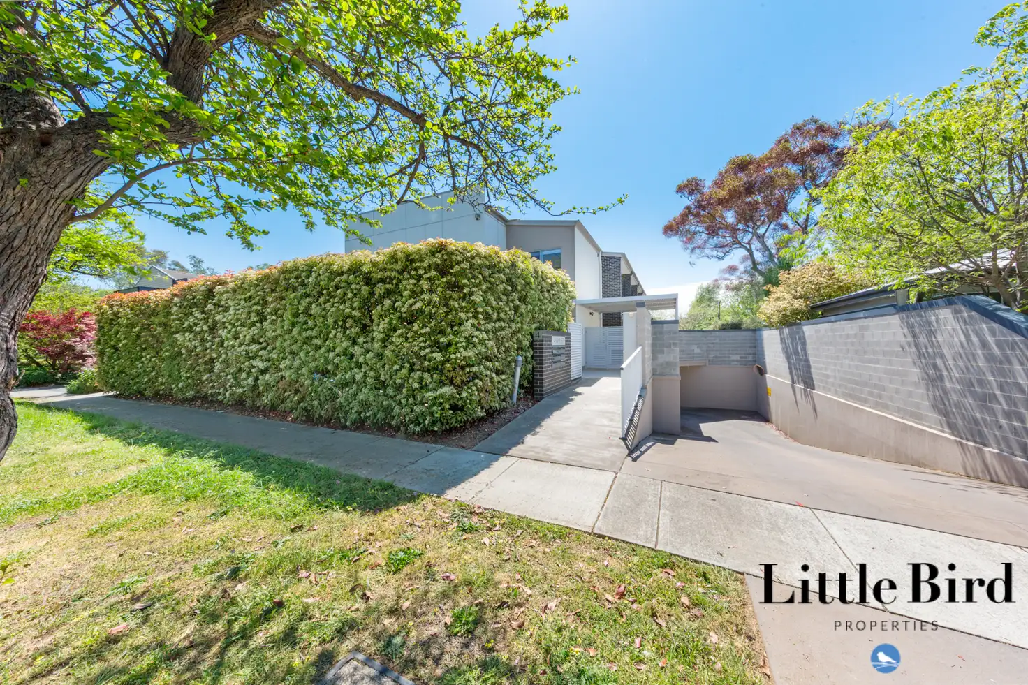 Main view of Homely townhouse listing, 7/4 Hay Street, O'connor ACT 2602