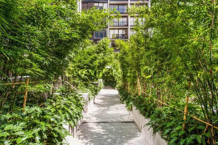 C1509/21 Dunkerley Place, Waterloo NSW 2017