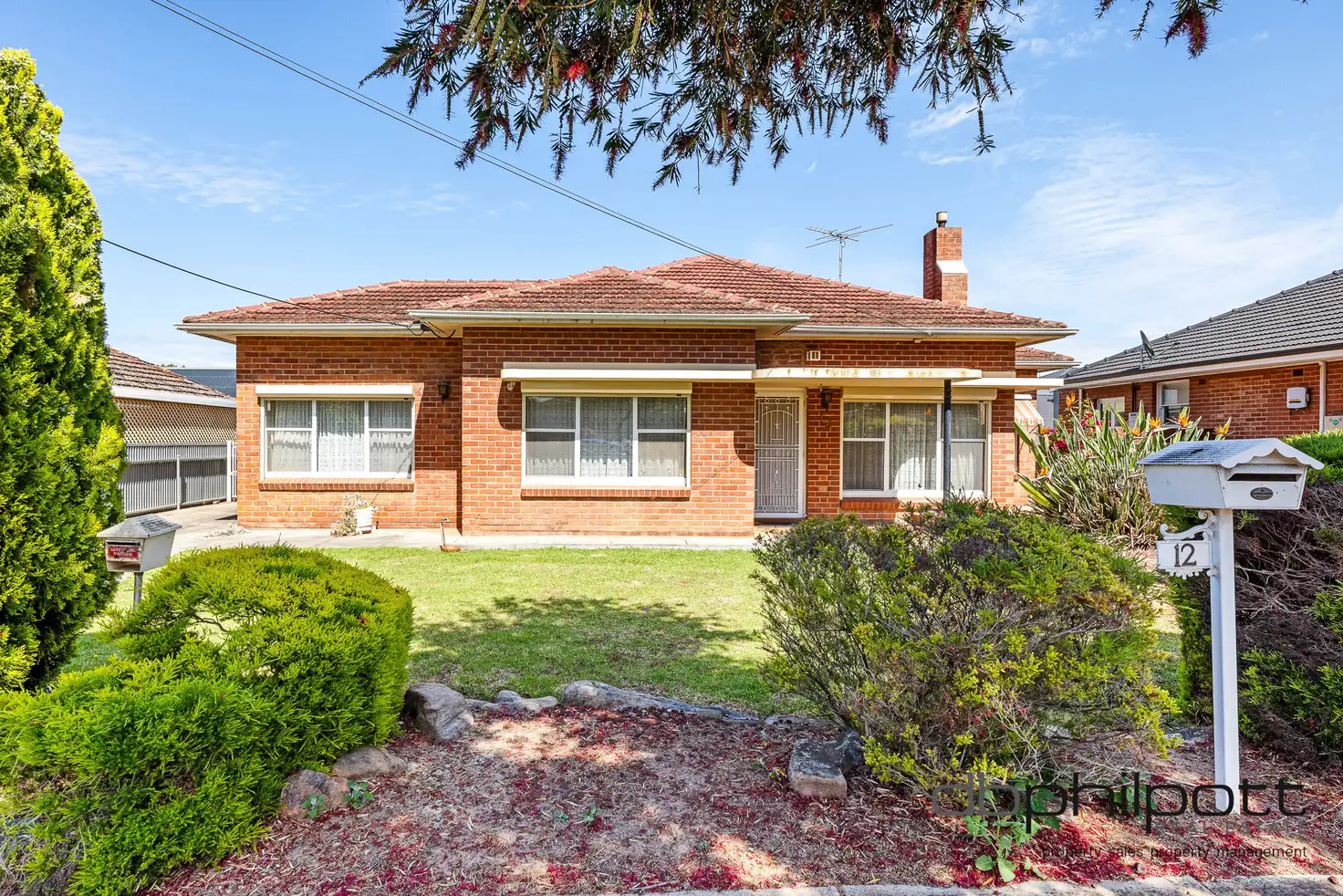 Main view of Homely house listing, 12 Tralee Avenue, Broadview SA 5083