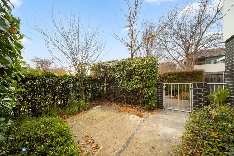 Third view of Homely townhouse listing, 2/3 Bagot Street, O'connor ACT 2602