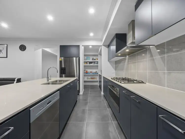 Second view of Homely house listing, 1 Soapberry Circuit, Collingwood Park QLD 4301