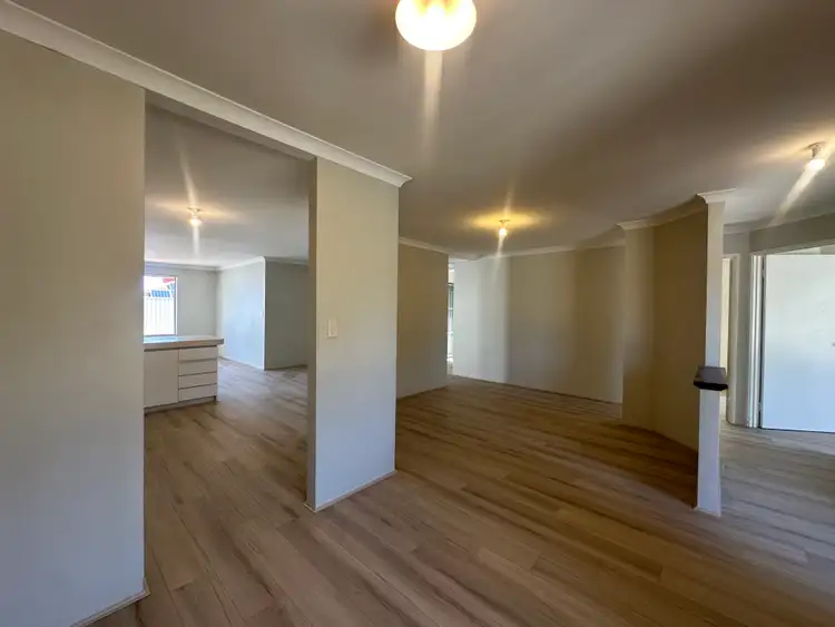 13 Salter Place, Parmelia WA 6167