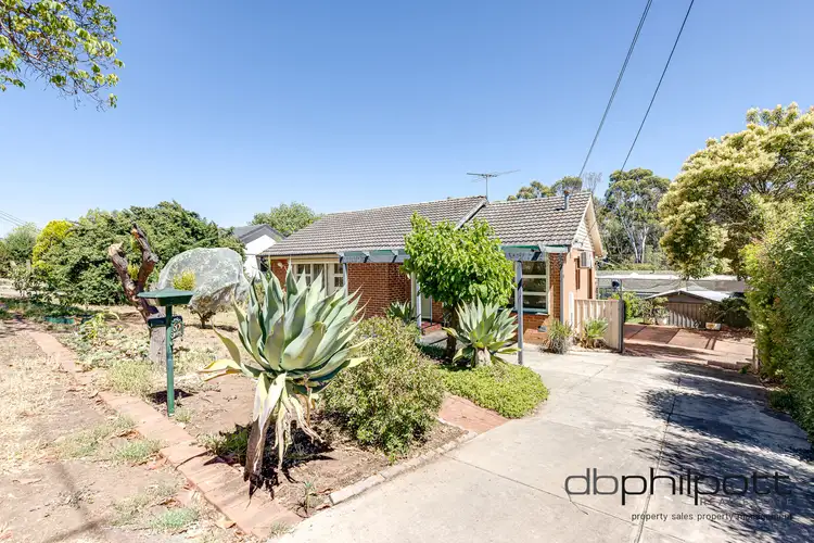 62 Tristania Terrace