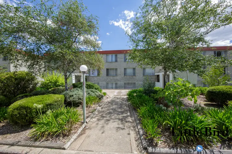 22/6 Wilkins Street, Mawson ACT 2607