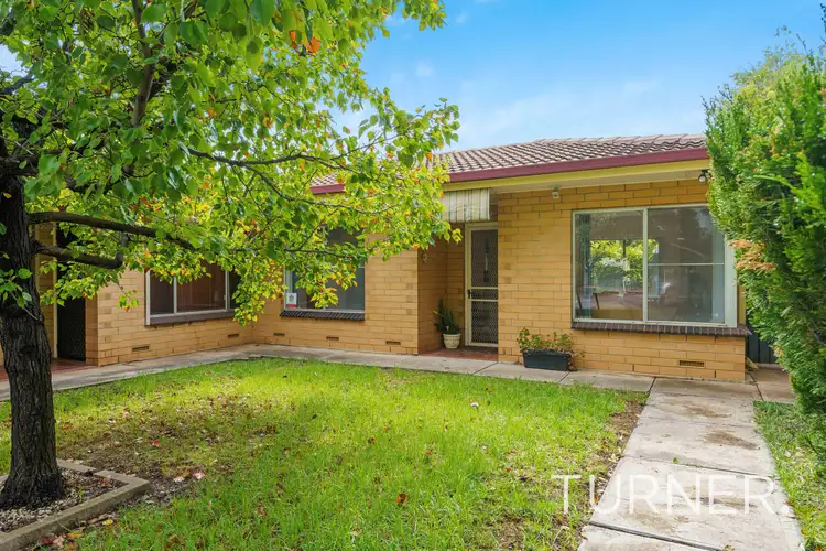 5/3 Sturdee Street