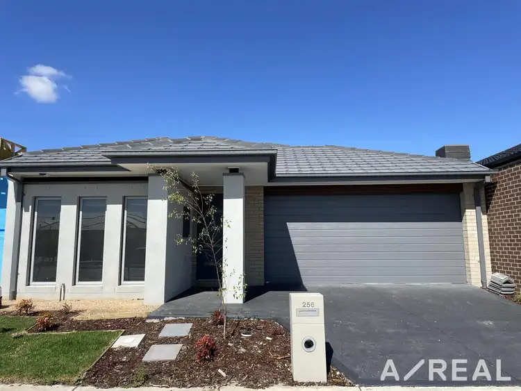 256 Toyon Road