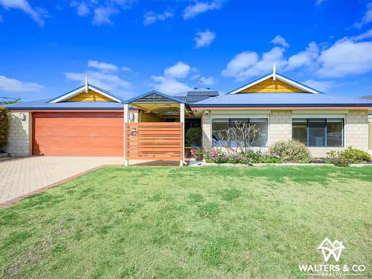 42 Chinchilla Parkway