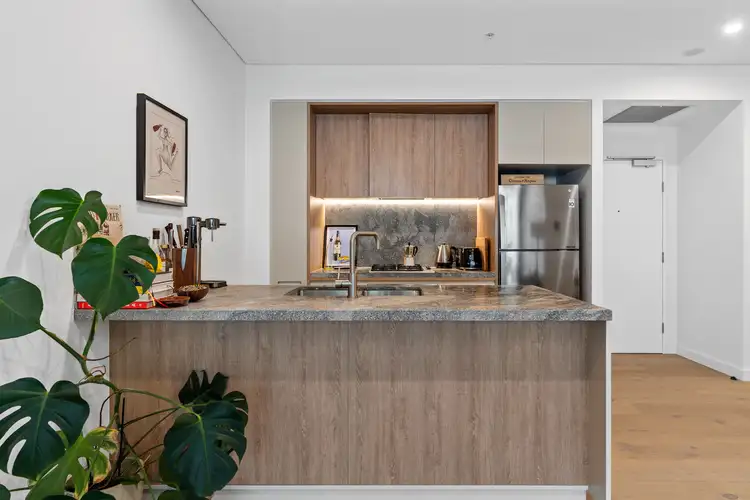 307/11 Perkins Street