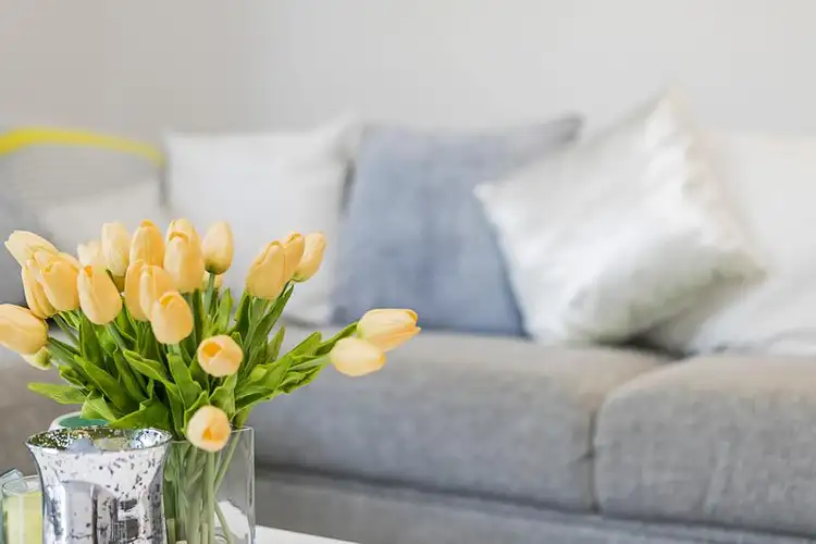 Sixth view of Homely house listing, 6 Lincoln Avenue, Sturt SA 5047