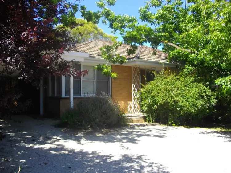 1/248 Canterbury Road