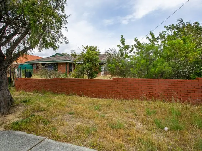 Third view of Homely house listing, 53 Brinckley Crescent, Koondoola WA 6064