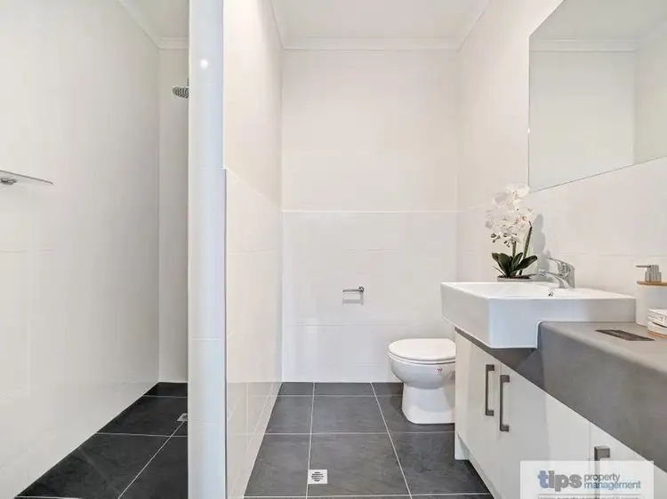 Sixth view of Homely villa listing, 3 Norma Street, Mile End SA 5031