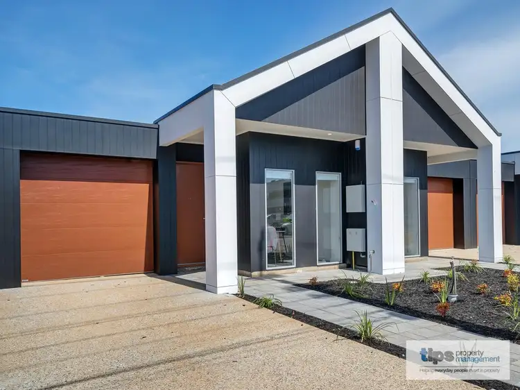 Main view of Homely house listing, 3C Norma St, Mile End SA 5031