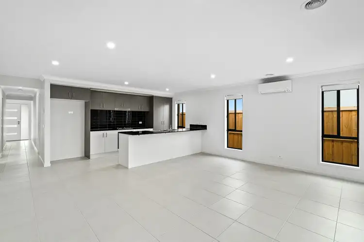 30 Callistemon Circuit