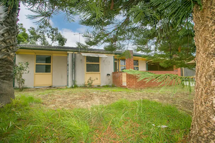 Fifth view of Homely house listing, 58 Koondoola Avenue, Koondoola WA 6064