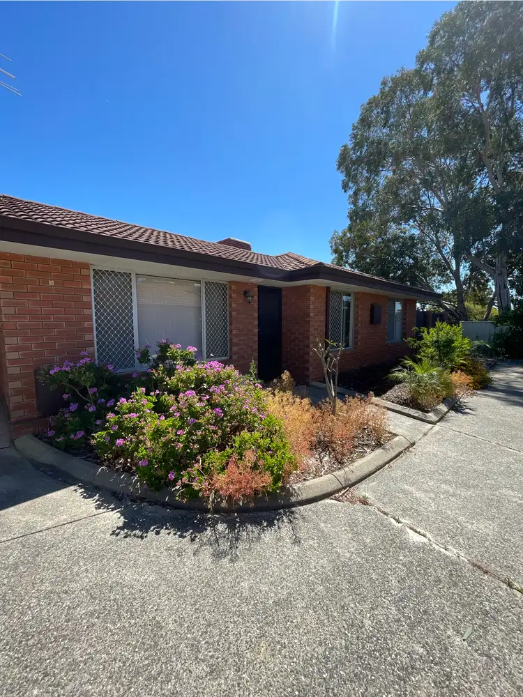 Main view of Homely villa listing, 3/8 Elsfield Way, Bassendean WA 6054