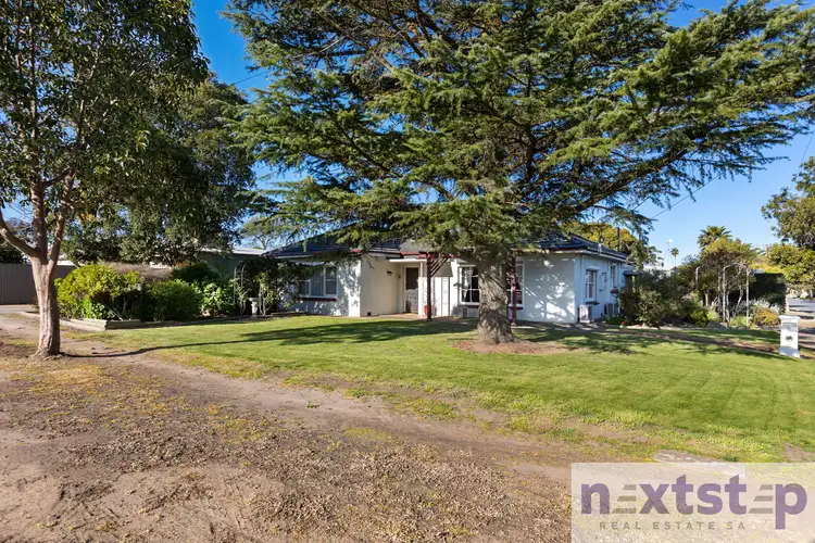 Second view of Homely house listing, 6 Vine Street, Nuriootpa SA 5355