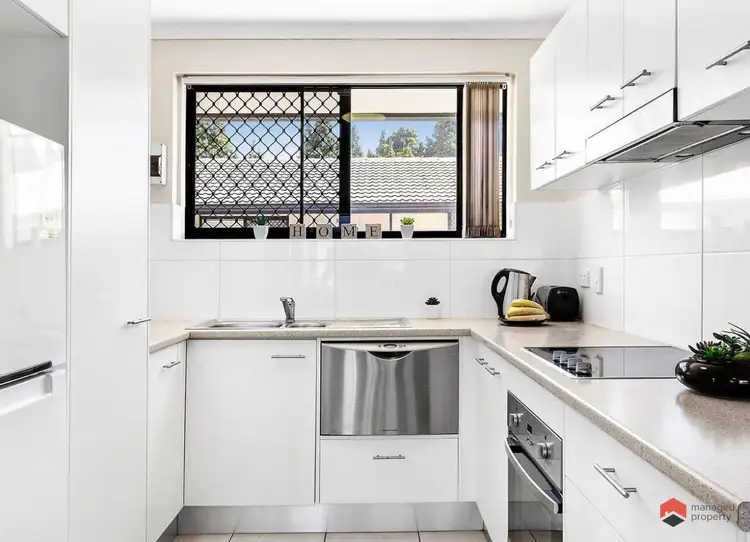Main view of Homely unit listing, 4/500 Wynnum Road, Morningside QLD 4170