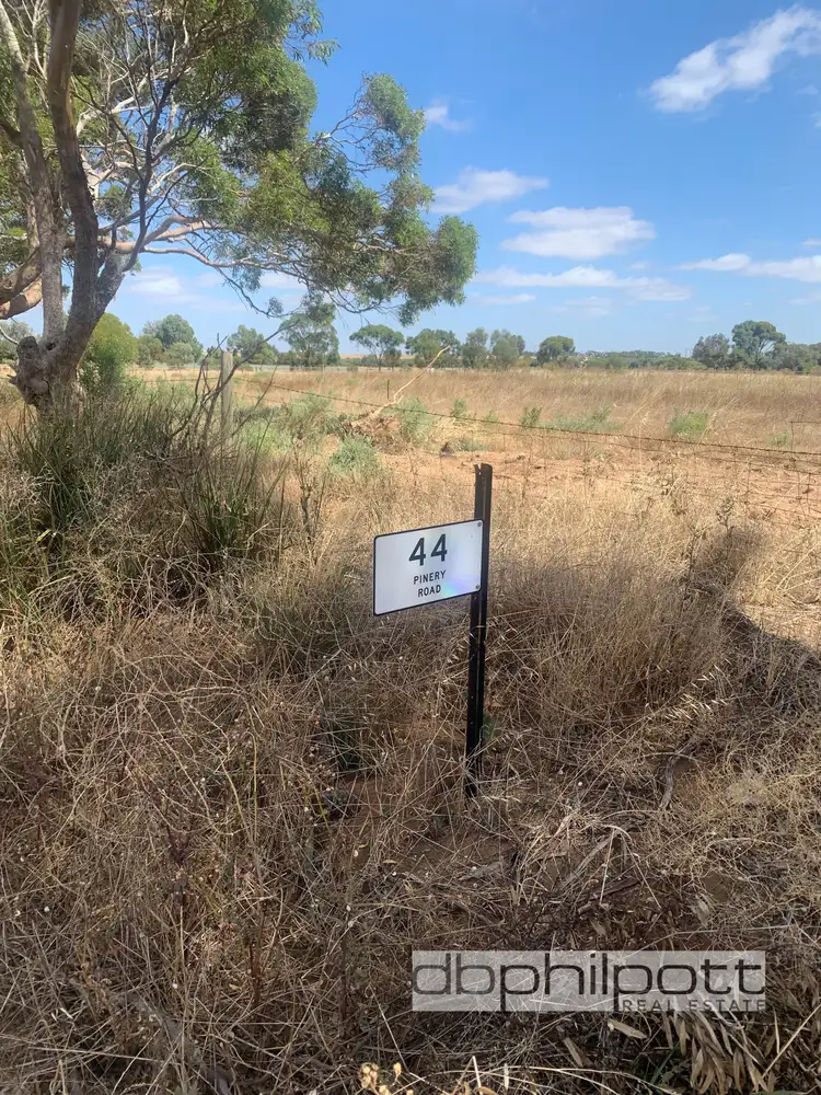 Main view of Homely rural property listing, 44 Pinery Road, Owen SA 5460