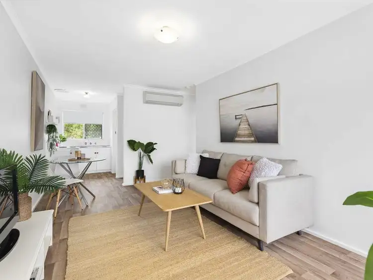 5/3 Leicester Street