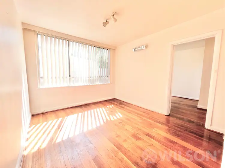 3/46 Camden Street