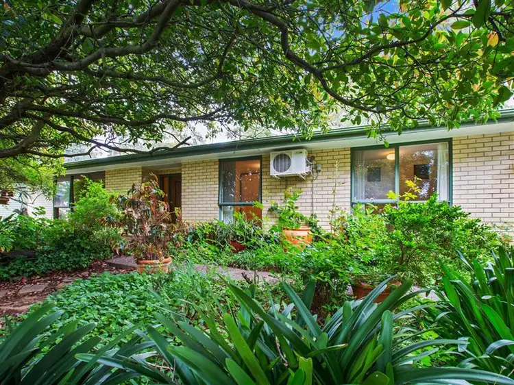 Main view of Homely house listing, 12 Meadow Avenue, Hawthorndene SA 5051