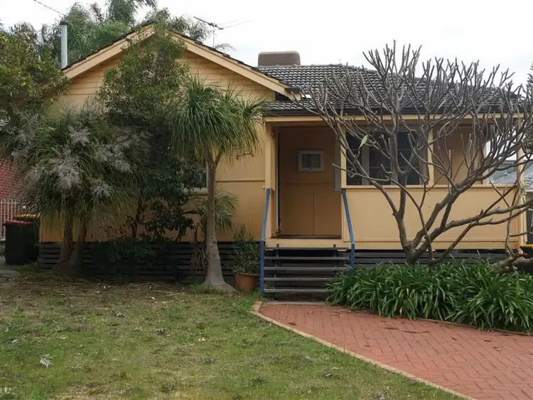 221 Woodside Street, Doubleview WA 6018