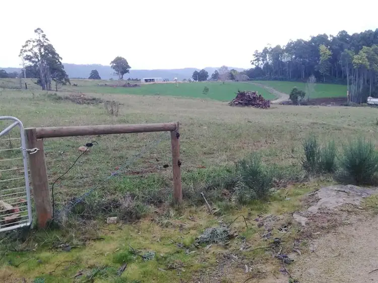 Main view of Homely land listing, 8 East Maurice Rd, Ringarooma TAS 7263