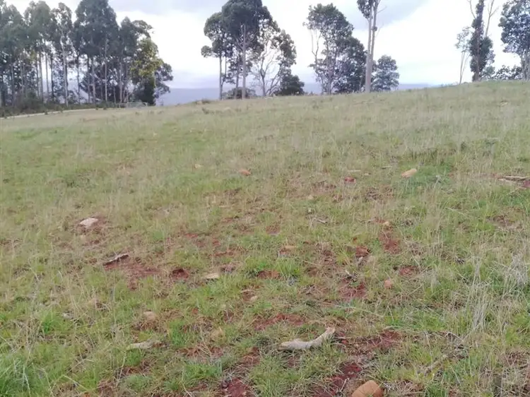 Sixth view of Homely land listing, 8 East Maurice Rd, Ringarooma TAS 7263