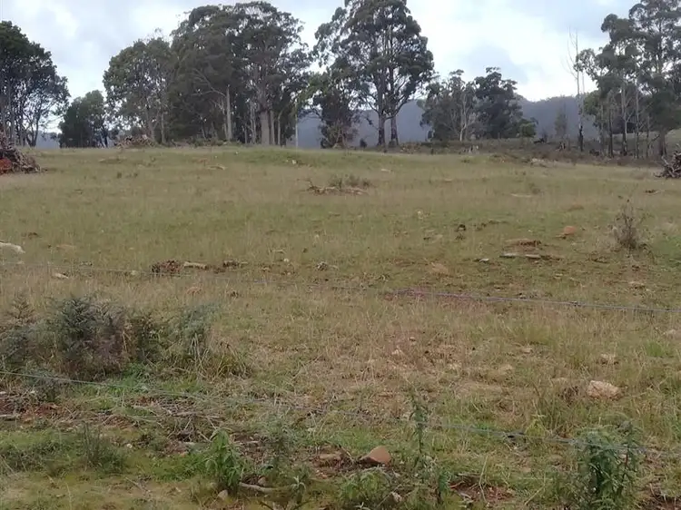 Seventh view of Homely land listing, 8 East Maurice Rd, Ringarooma TAS 7263