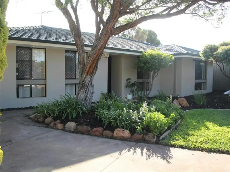 Main view of Homely house listing, 35 Cotton Crescent, Bull Creek WA 6149