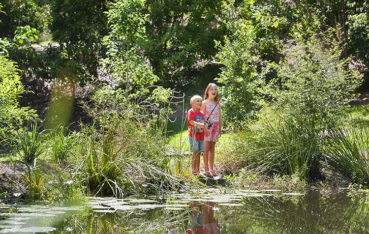 Third view of Homely house listing, 85 Glenmount Road, Mons QLD 4556