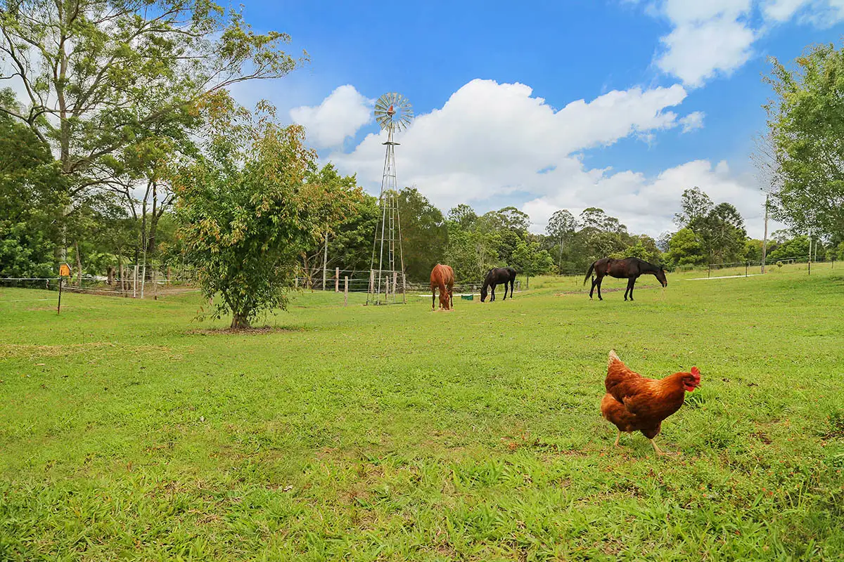 Main view of Homely land listing, LOT 2/240 Ninderry Road, Ninderry QLD 4561