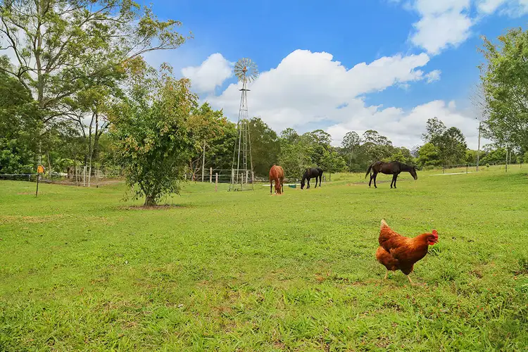 Third view of Homely land listing, LOT 3/240 Ninderry Road, Ninderry QLD 4561
