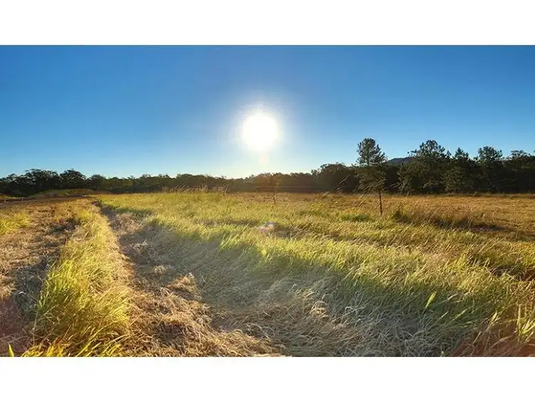 Main view of Homely land listing, Lot 16 Lloyd Street, Beerwah QLD 4519