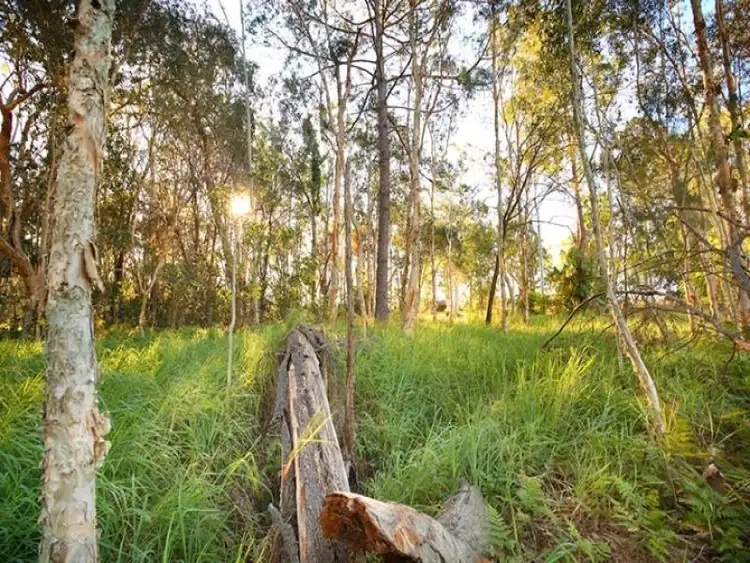 Third view of Homely house listing, Lot 13 Lloyd Street, Beerwah QLD 4519