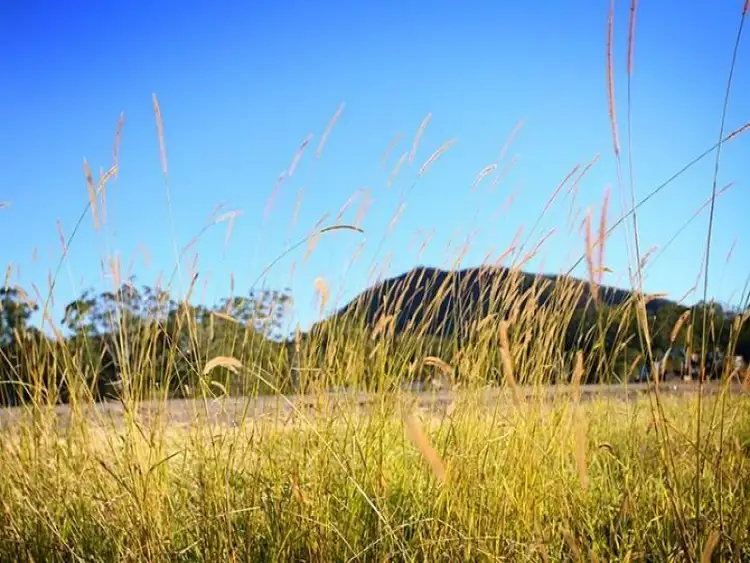 Second view of Homely land listing, Lot 16 Lloyd Street, Beerwah QLD 4519
