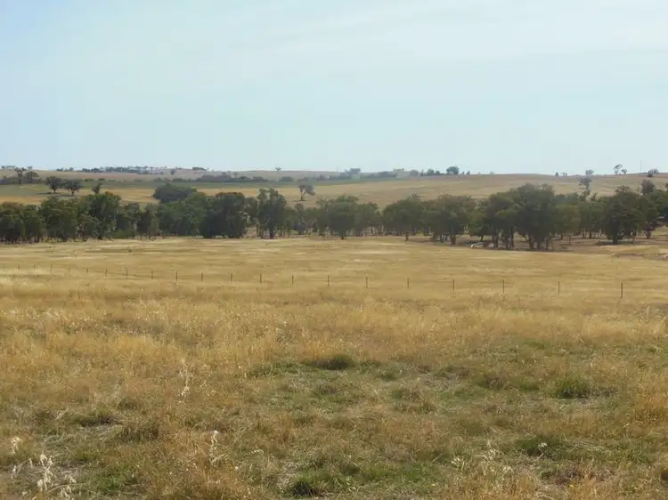 Fourth view of Homely land listing, 62 Sads Lane Monteagle, Young NSW 2594