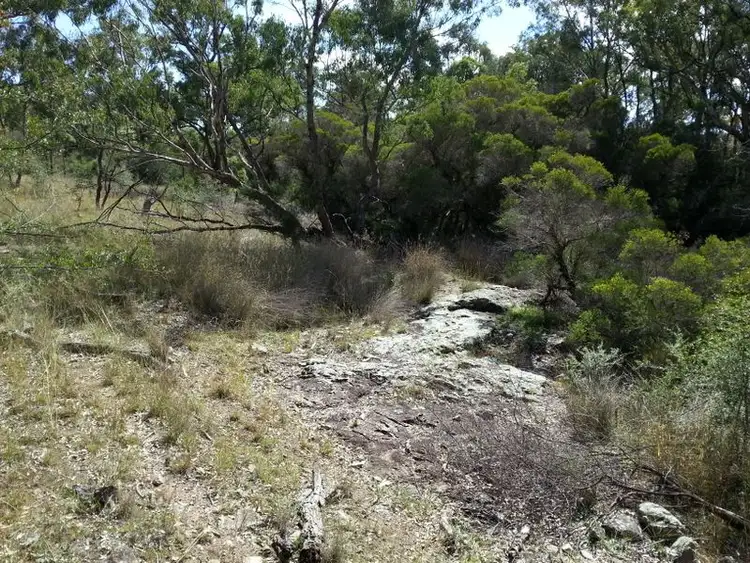 Fifth view of Homely rural property listing, Lot 11 Springdale Road, Stanthorpe QLD 4380