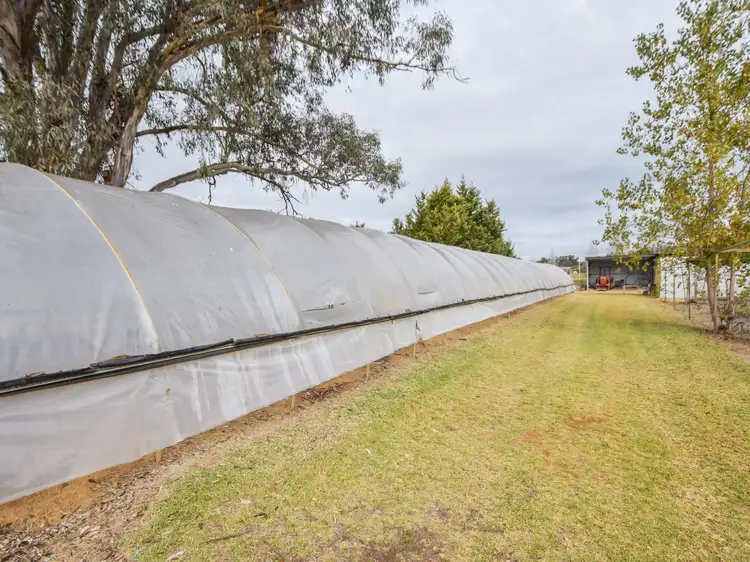 Seventh view of Homely house listing, 38 Chums Lane, Young NSW 2594