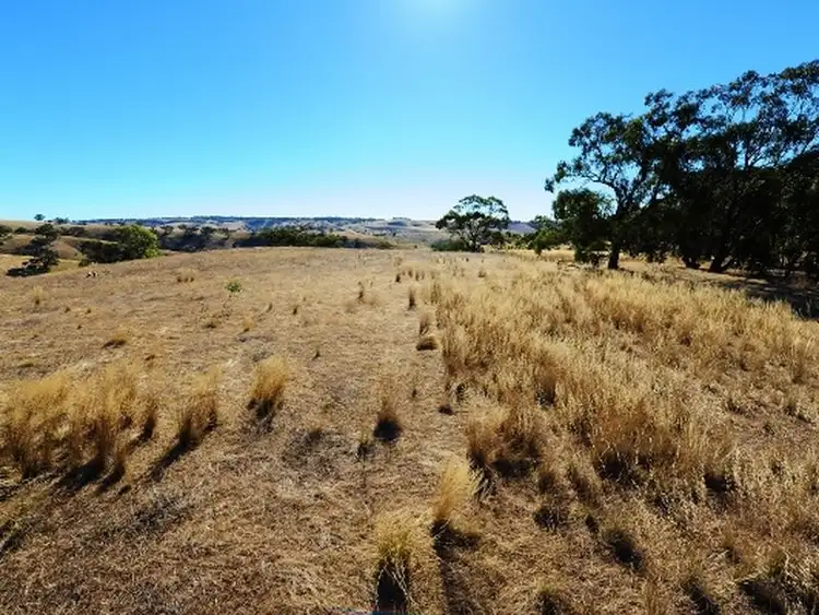 Third view of Homely land listing, Lot 713 Allendale Road, Kalbeeba SA 5118