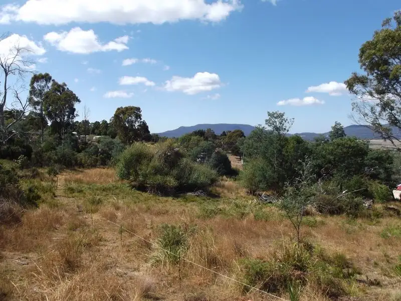 Main view of Homely land listing, PID6399737 Alexander Street, Cornwall TAS 7215