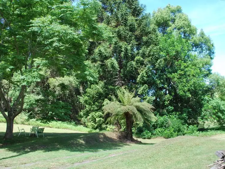 Second view of Homely rural property listing, 114 Bennetts Road, Coffs Harbour NSW 2450