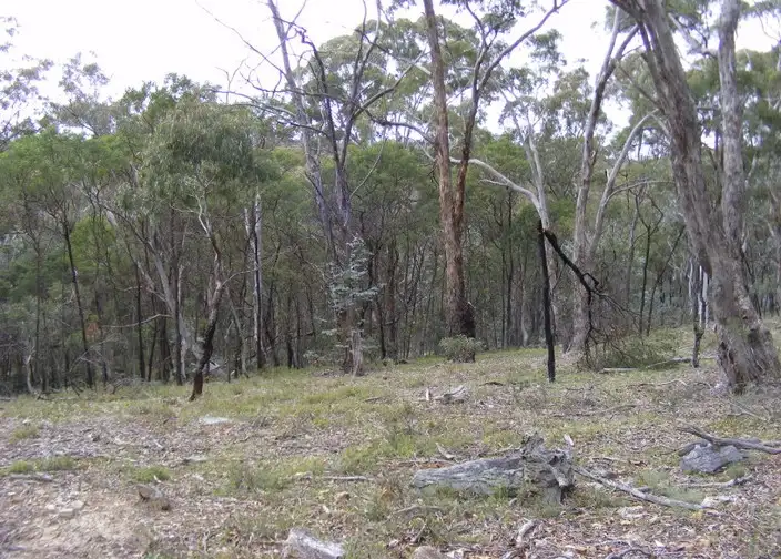 Fourth view of Homely rural property listing, 208 McLachlan Road, Bannaby NSW 2580