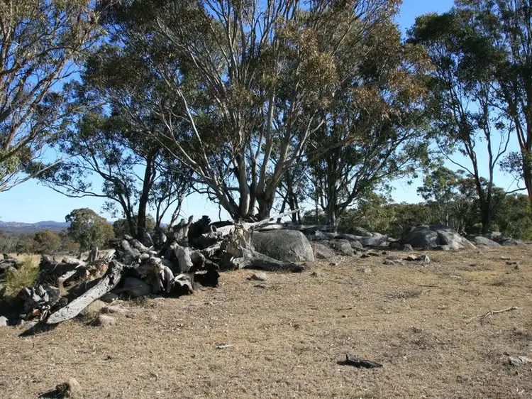 Fourth view of Homely rural property listing, Lot 348 Loloma Road Dalveen via, Warwick QLD 4370