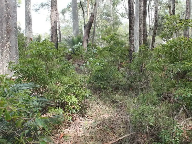 Seventh view of Homely land listing, 13 Dale Place, Rosedale NSW 2536