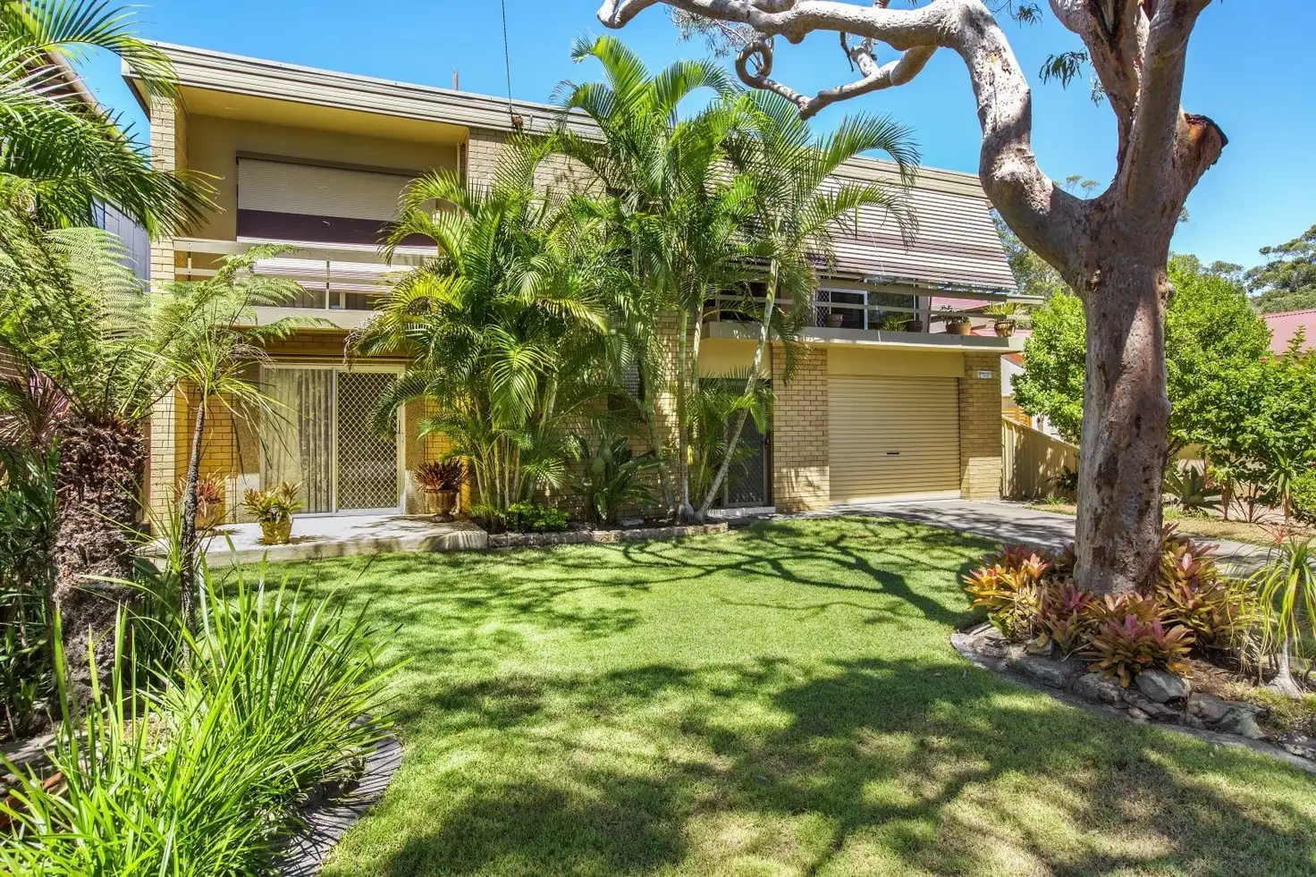 Main view of Homely house listing, 124 Grandview Street, Shelly Beach NSW 2261