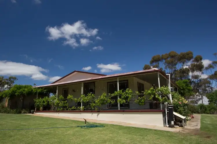 Fifth view of Homely rural property listing, 65 Muanu Road Spring Gully, Clare SA 5453