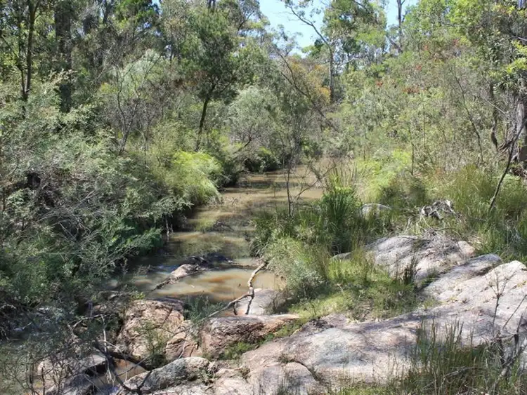 Second view of Homely rural property listing, Lot 1 Catarrh Creek Road, Torrington NSW 2371