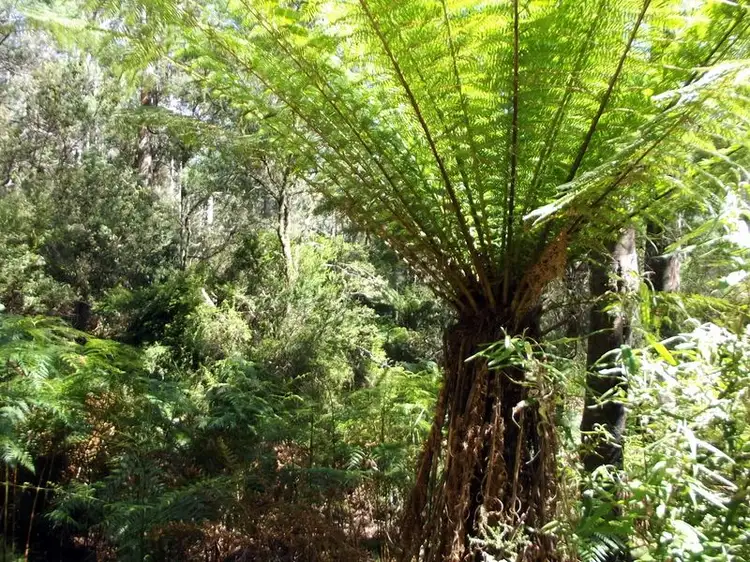 Second view of Homely land listing, Lot 1 Terryvale Road, Goshen TAS 7216